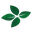 Four-Leaf 标志