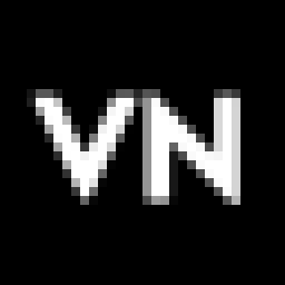 VN 标志